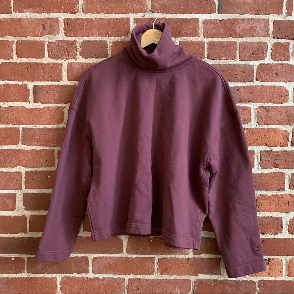 Everlane Turtleneck Sweatshirt
